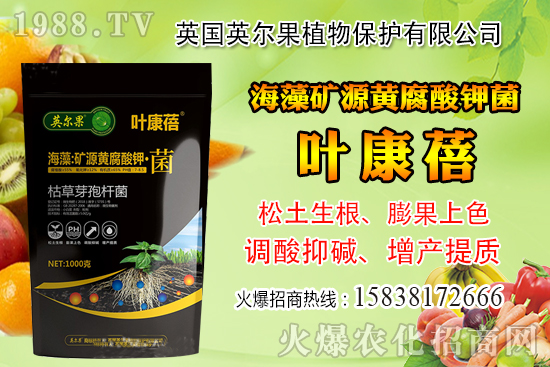 ��ô�Д����׺�ˮ��������������ˮ���й��ж���(j��ng)�(y��n)��