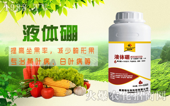 棉花缺硼危害究竟有多大,棉花缺硼癥狀及硼肥施用技術(shù)!