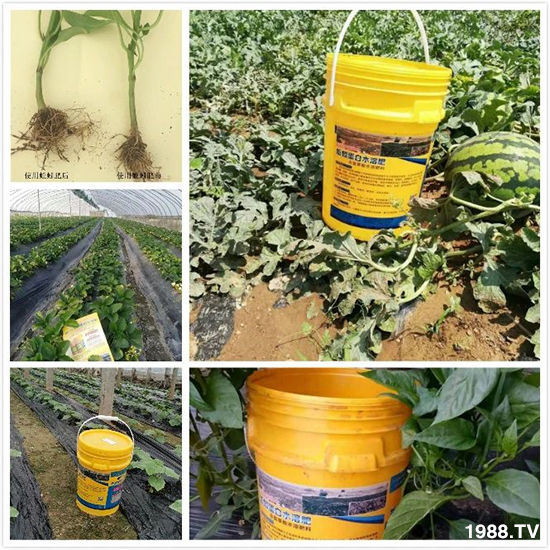 ˮ�ܷ��Ј�(ch��ng)��׃��������徫���~(y��)���׌�����������1000���Ñ��������]��