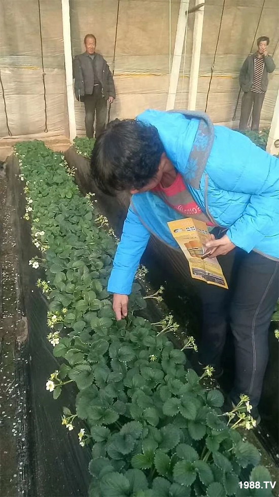 ˮ�ܷ��Ј�(ch��ng)��׃��������徫���~(y��)���׌��������棡1000���Ñ��������]��