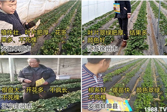 ˮ�ܷ��Ј�(ch��ng)��׃��������徫���~(y��)���׌�����������1000���Ñ��������]��