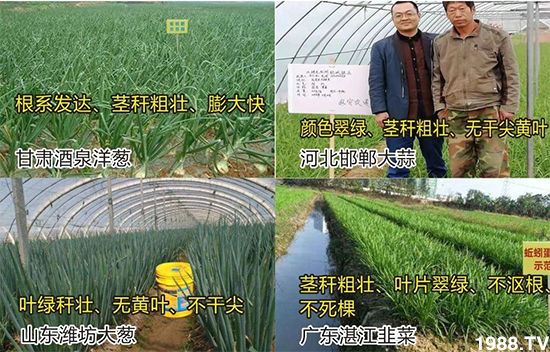 ˮ�ܷ��Ј�(ch��ng)��׃��������徫���~(y��)���׌��������棡1000���Ñ��������]��