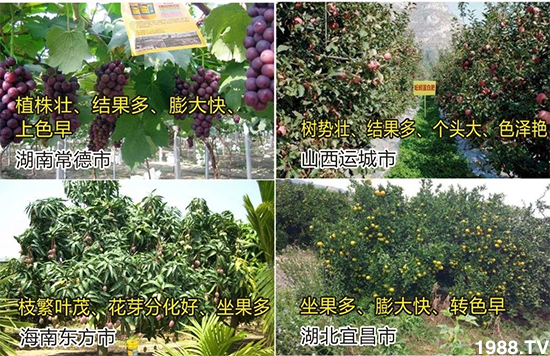 ˮ�ܷ��Ј�(ch��ng)��׃��������徫���~(y��)���׌�����������1000���Ñ��������]��