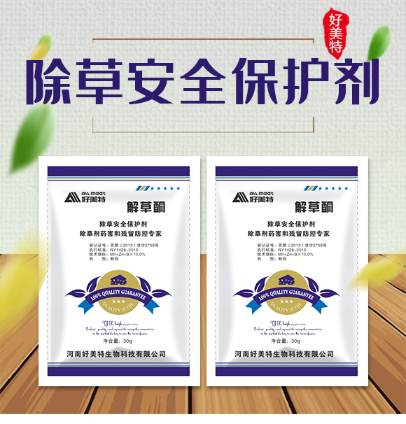 ���ݱ��o��-���ͪ-������_01