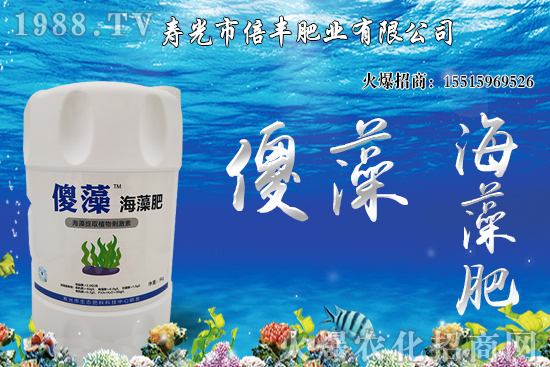 �Ј��𲽻ؚw�������������󶹃r��_�߻��䣡