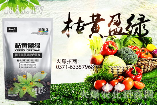 ʮ�¼������������r(ji��)�ܝq���٣�9��29��С���r(ji��)���߄�(sh��)��