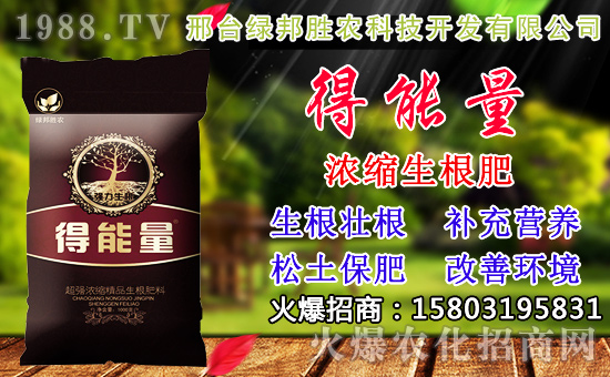 2020��С���N������x���߮a(ch��n)С��Ʒ�N����Щ��