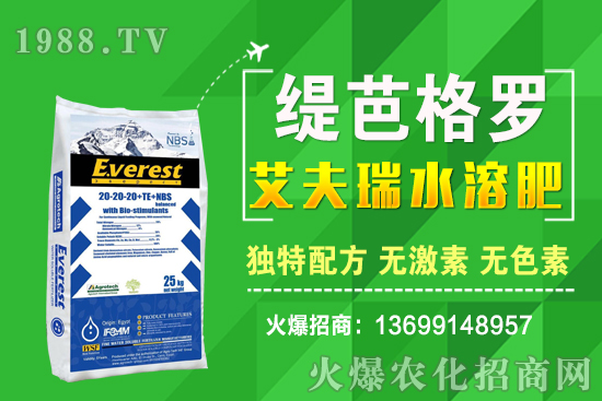 小麥價(jià)格漲了!十月小麥行情預(yù)測!