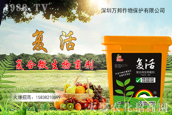 ���������ԷN������M�й�������ʲô����Ҫ�c��