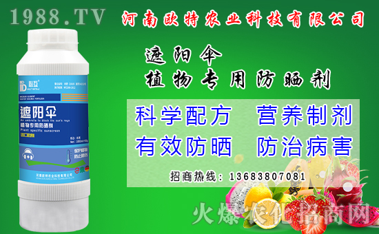 �R������Ժ���Щ�����׷N���R����׷Nģʽ��ʲô��̎��