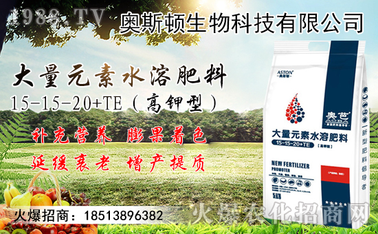 小麥價(jià)格行情能上漲多少?附今日新小麥價(jià)格