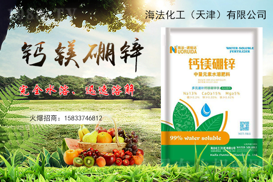 ������������ԷN�������������ηNֲ��