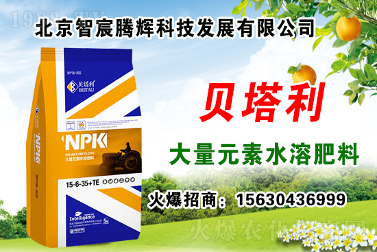 2020��Nʲôˎ����ٍ�X���Nֲˎ�����a�N������Щˎ���зNֲǰ����