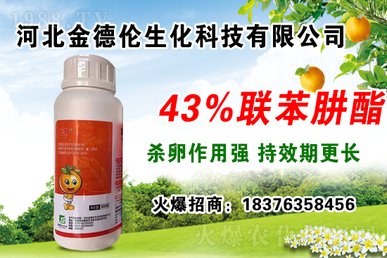 �����紺���������瑪ע����Щ���}