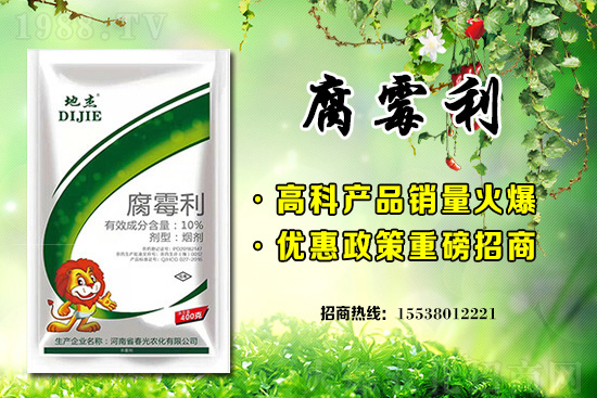 ��֦�������r������2021��2��9��