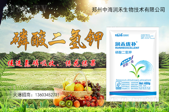 ����һ���굽��ԓ��ôʩ��������ʩ��ע�����(xi��ng)����Щ��