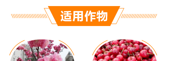 ������������-���r����(y��u)ؐ-���r����_09