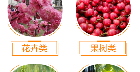 ������������-���r����(y��u)ؐ-���r����_10