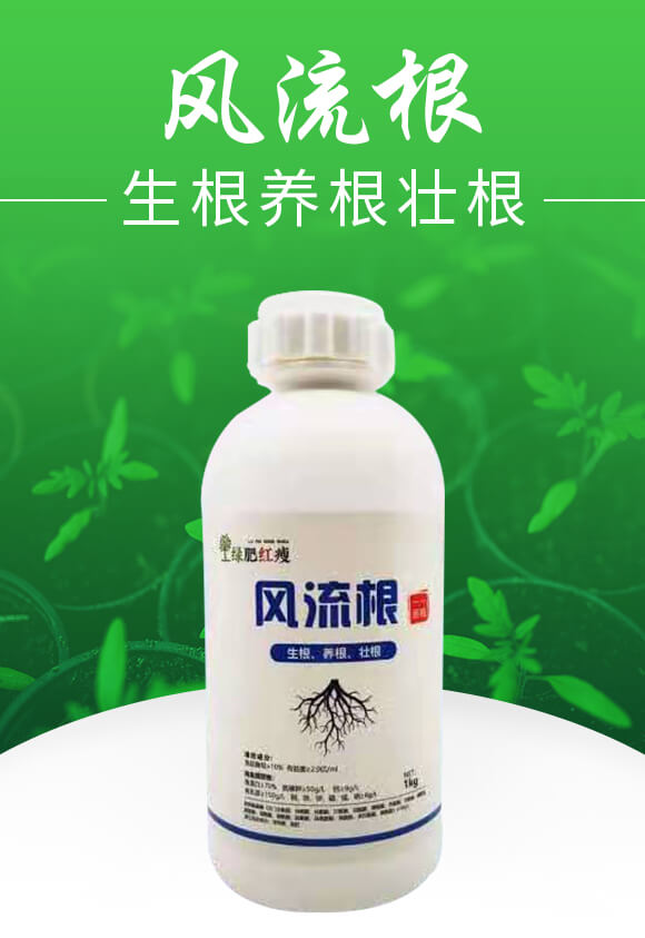 �L(f��ng)�����������B(y��ng)���Ѹ���-�G��_01