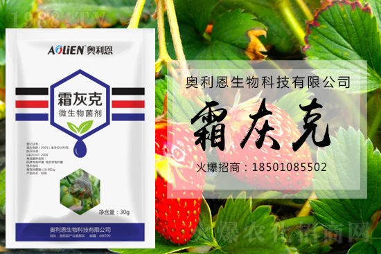 ������ݮ�װl(f��)��ù�����A(y��)����ʩ��ô����