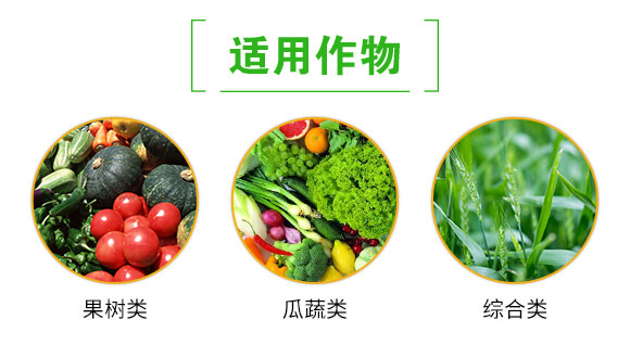 生根型深海魚蛋白-貝多豐_04