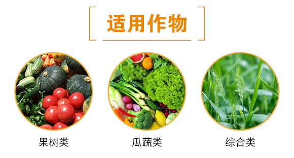 �G�~����~����-ؐ���S_04