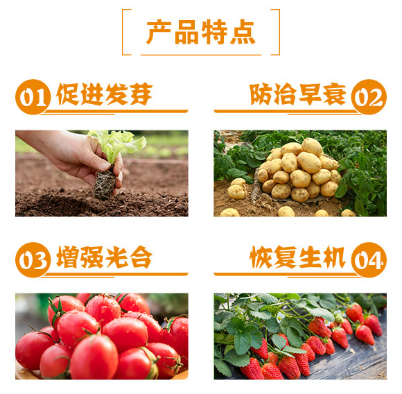 �G�~����~����-ؐ���S_03