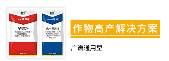 15%��Ч��+20%���ѡ������f-�������ֶ�-���䌍�I(y��)_02