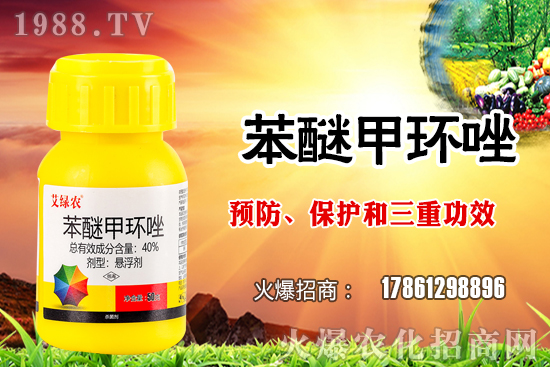 ����������x�����׷N�������׷NֲҪע����Щ��(w��n)�}��