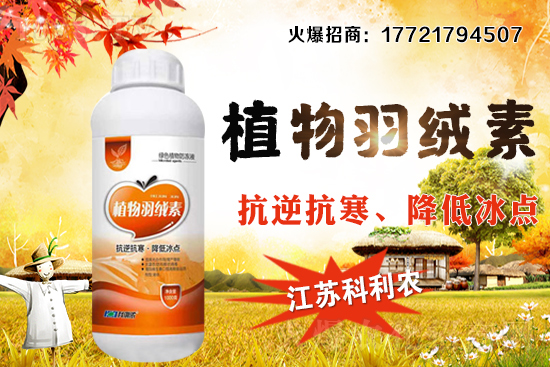 �����׷Nֲ�ܶ���ΰ�����������ʩ�ʼ��к��ڹ�����