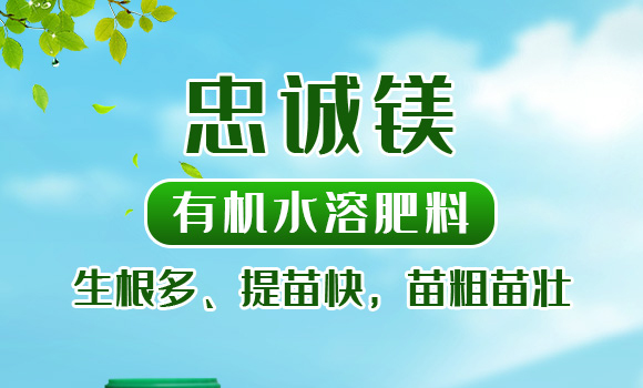 �ЙCˮ�ܷ���-���\�V-�����r(n��ng)_01