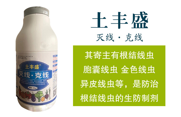 �羀���˾�-���Sʢ-�����__02