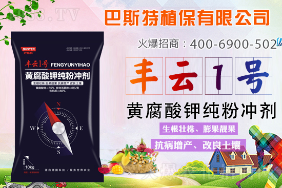 新品上市,定金翻倍!1000定金抵2000,超值優(yōu)惠,限時(shí)搶定...