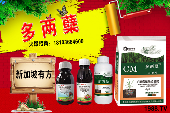 2021�����ַNֲǰ������������ֺ���ͨ�����к΅^(q��)�e��