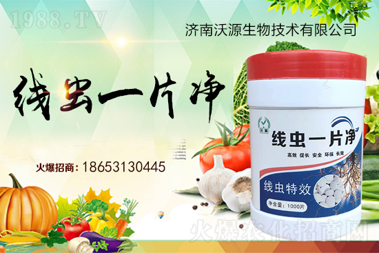 ���Y���x�y���������ξ��x�����xһƬ����