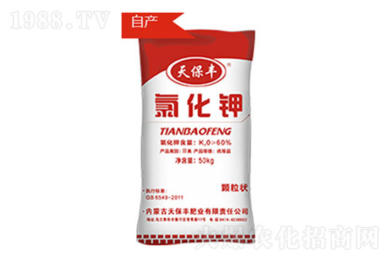 ⛷��߄�ƫ����⛷ʃr�����飨10��14�գ�