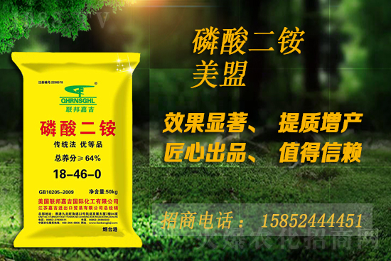 ���@�ǝq߀�ǵ���10��16�����@�r(ji��)������