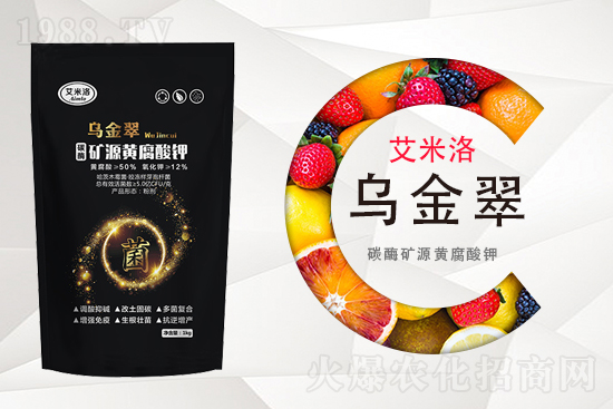 ���؃r�������10��16�ո������؃r������