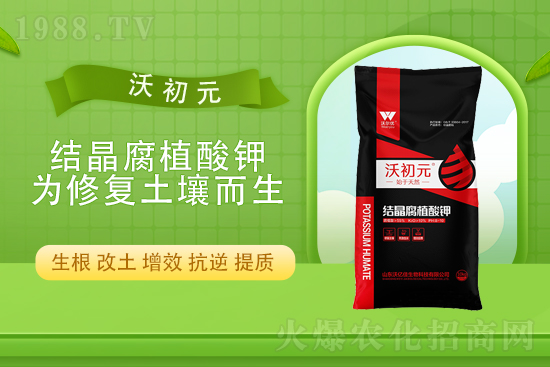 ⛷ʃr(ji��)��߀��(hu��)�q����10��22��⛷ʃr(ji��)������