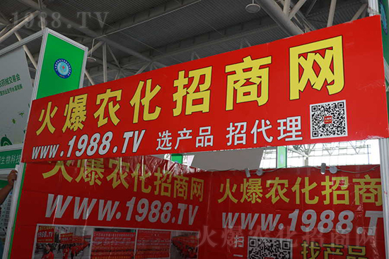 ��s������2021ɽ�|ֲ����(hu��)���𱬾W(w��ng)��������ʢ�e��