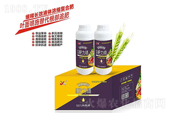 ��(f��)�Ϸ�߀Ҫ�q�����10��26�Տ�(f��)�Ϸʃr(ji��)���߄�