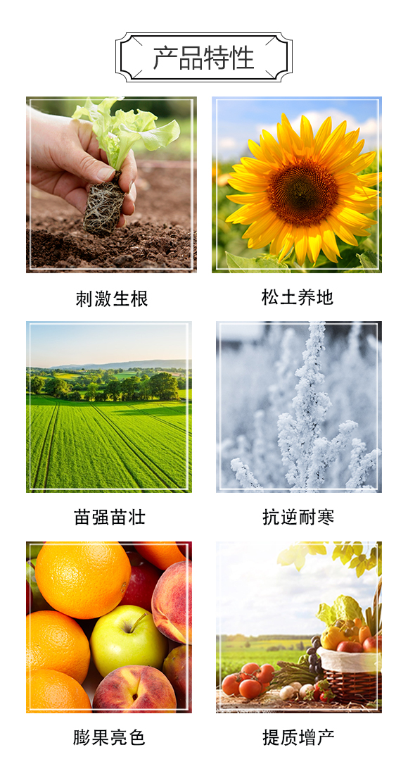 꿾����F(tu��n)1_03