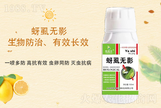 ɽ�|�����S�m(x��)�s1988.TV�����\�����°l(f��)չ