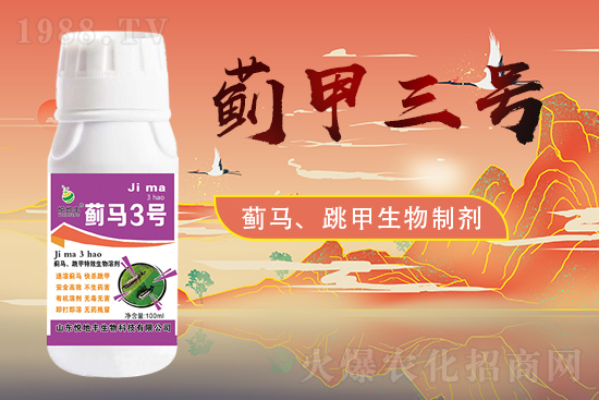 ɽ�|�����S�m(x��)�s1988.TV�����\�����°l(f��)չ