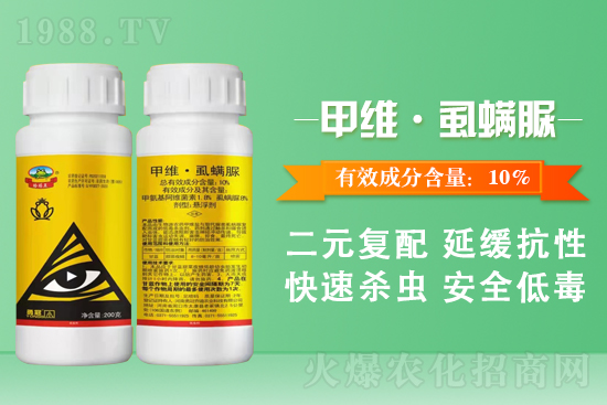 勇冠喬迪再簽1988.TV,鑄就新輝煌!