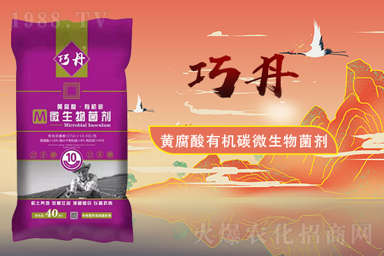 �����Pϵ�����A��ɽ�|�f��ȵ��m(x��)�s1988.TV��