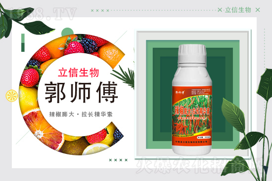 ���������m(x��)�s1988.TV���y�ֹ���(chu��ng)���x����