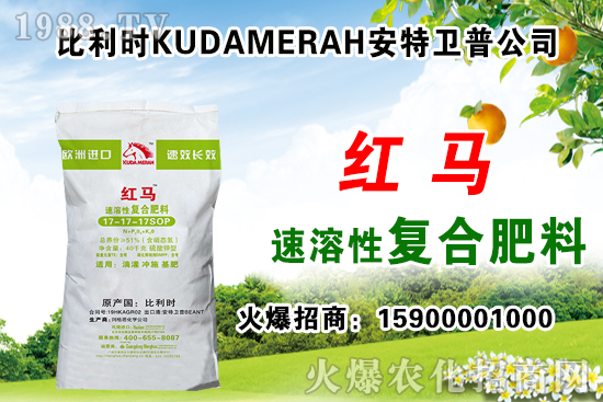 �ͺϷʳ��S��r��11��12�ՏͺϷʃr������