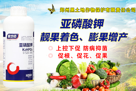 �������@�r(ji��)�������Ӎ��11��5�գ�