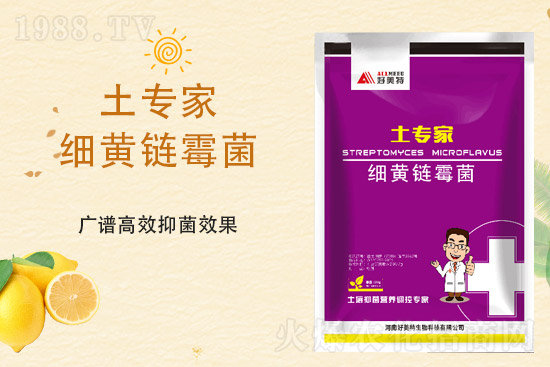 2021��11��9�����@�r�������Ո�